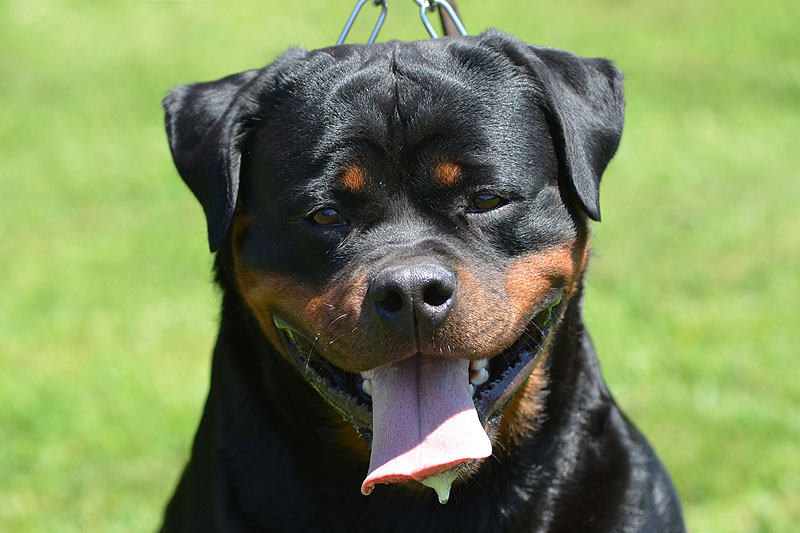 Yumbo von der Alten Festung Yumbo von der Alten Festung